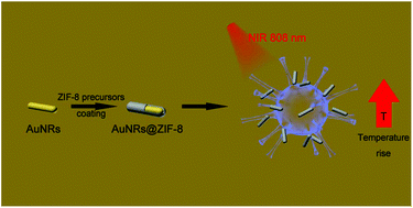 Graphical abstract: Zeolitic imidazole framework coated Au nanorods for enhanced photothermal therapy and stability