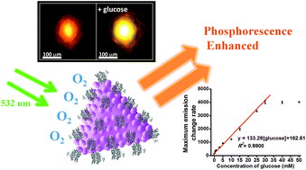 Graphical abstract: Ag@Au nanoprism-metal organic framework-based paper for extending the glucose sensing range in human serum and urine