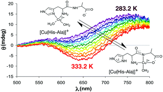 Graphical abstract: Exploring the boundaries of direct detection and characterization of labile isomers – a case study of copper(ii)–dipeptide systems