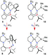 Graphical abstract: Variable coordination geometries via an amine-tethered-enamidophosphinimine ligand on cobalt