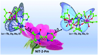 Graphical abstract: Syntheses, structures and magnetic properties of the lanthanide complexes of the pyrimidyl-substituted nitronyl nitroxide radical