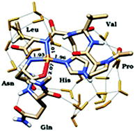 Graphical abstract: Copper ion interaction with the RNase catalytic site fragment of the angiogenin protein: an experimental and theoretical investigation