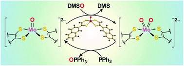 Graphical abstract: Synthesis, characterization and oxygen atom transfer reactivity of a pair of Mo(iv)O- and Mo(vi)O2-enedithiolate complexes – a look at both ends of the catalytic transformation