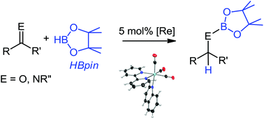 Graphical abstract: Rhenium-catalysed hydroboration of aldehydes and aldimines