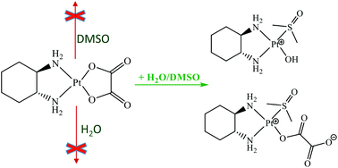 Graphical abstract: Oxaliplatin reacts with DMSO only in the presence of water
