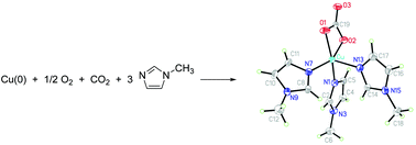 Graphical abstract: Metal carbonate complexes formed through the capture of ambient O2 and CO2 by elemental metals in 1-methylimidazole: molecular Cu(CO3)(MeIm)3 and polymeric M(CO3)(MeIm)2·2H2O (M = Co, Zn)