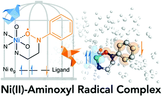 Graphical abstract: Generation and characterisation of a stable nickel(ii)-aminoxyl radical complex
