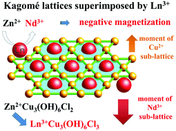 Graphical abstract: Strong spin frustration and negative magnetization in LnCu3(OH)6Cl3 (Ln = Nd and Sm) with triangular lattices: the effects of lanthanides