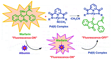 Graphical abstract: Detection of the anticoagulant drug warfarin by palladium complexes