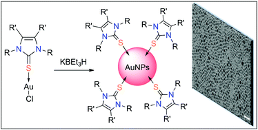 Graphical abstract: Stabilisation of gold nanoparticles by N-heterocyclic thiones