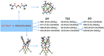 Graphical abstract: Enhanced free energy of extraction of Eu3+ and Am3+ ions towards diglycolamide appended calix[4]arene: insights from DFT-D3 and COSMO-RS solvation models