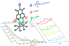 Graphical abstract: [FeFe]-Hydrogenase H-cluster mimics mediated by naphthalene monoimide derivatives of peri-substituted dichalcogenides