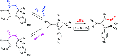 Graphical abstract: Insertion reactions of small unsaturated molecules in the N–B bonds of boron guanidinates