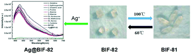 Graphical abstract: An anionic Cd(ii) boron imidazolate framework with reversible structural transformation and biomolecular sensing properties