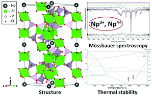 Graphical abstract: Synthesis and investigation of neptunium zirconium phosphate, a member of the NZP family: crystal structure, thermal behaviour and Mössbauer spectroscopy studies