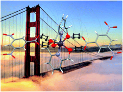 Graphical abstract: A mononuclear Co(ii) complex formed from pyridinedimethanol with manifold slow relaxation channels