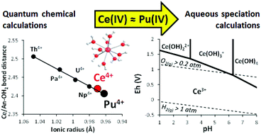 Graphical abstract: Aqueous chemistry of Ce(iv): estimations using actinide analogues