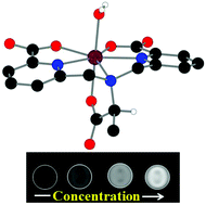 Graphical abstract: A highly stable l-alanine-based mono(aquated) Mn(ii) complex as a T1-weighted MRI contrast agent