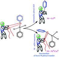 Graphical abstract: Flexibility and lability of a phenyl ligand in hetero-organometallic 3d metal–Sn(iv) compounds and their catalytic activity in Baeyer–Villiger oxidation of cyclohexanone