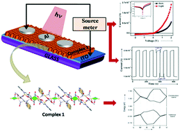 Graphical abstract: The development of a promising photosensitive Schottky barrier diode using a novel Cd(ii) based coordination polymer