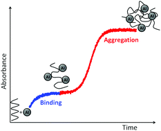 Graphical abstract: Binding of Al(iii) to synthetic RNA and metal-mediated strand aggregation