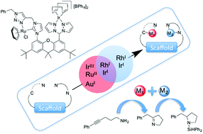 Graphical abstract: Highly versatile heteroditopic ligand scaffolds for accommodating group 8, 9 & 11 heterobimetallic complexes