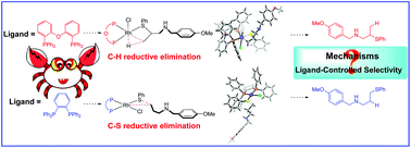 Graphical abstract: Theoretical investigation of the impact of ligands on the regiodivergent Rh-catalyzed hydrothiolation of allyl amines