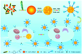 Graphical abstract: Facile synthesis of highly biocompatible folic acid-functionalised SiO2 nanoparticles encapsulating rare-earth metal complexes, and their application in targeted drug delivery