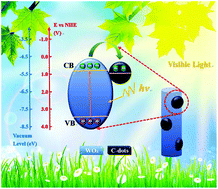 Graphical abstract: Two-step hydrothermally synthesized carbon nanodots/WO3 photocatalysts with enhanced photocatalytic performance