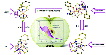 Graphical abstract: Cooperative influence of pseudohalides and ligand backbone of Schiff-bases on nuclearity and stereochemistry of cobalt(iii) complexes: experimental and theoretical investigation