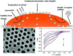 Graphical abstract: Honeycomb-patterned hybrid films of surfactant-encapsulated polyoxometalates by a breath figure method and its electrocatalysis for BrO3−