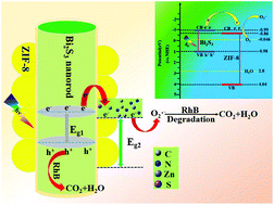 Graphical abstract: A visible-light driven Bi2S3@ZIF-8 core–shell heterostructure and synergistic photocatalysis mechanism