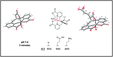 Graphical abstract: Amino acid based gallium-68 chelators capable of radiolabeling at neutral pH