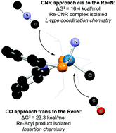 Graphical abstract: High-valent nitridorhenium(v) complexes containing PNP ligands: implications of ligand flexibility