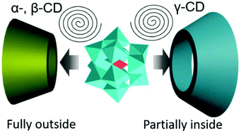 Graphical abstract: Induced chirality and reversal of phosphomolybdate cluster via modulating its interaction with cyclodextrins