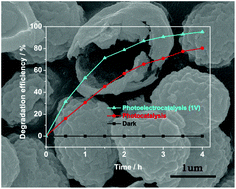 Graphical abstract: Synthesis and photoelectrocatalytic activity of In2O3 hollow microspheres via a bio-template route using yeast templates