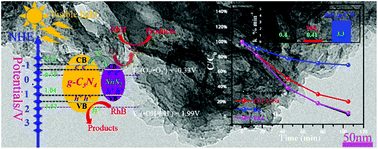 Graphical abstract: C–S bond induced ultrafine SnS2 dot/porous g-C3N4 sheet 0D/2D heterojunction: synthesis and photocatalytic mechanism investigation