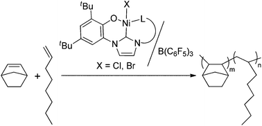 Graphical abstract: Homo- and copolymerization of norbornene with tridentate nickel complexes bearing o-aryloxide-N-heterocyclic carbene ligands