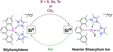 Graphical abstract: Chalcogen-atom transfer and exchange reactions of NHC-stabilized heavier silaacylium ions