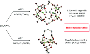 Graphical abstract: Halide encapsulation by dicarboxylate oxido-vanadium cage complexes