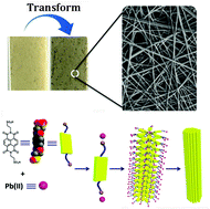 Graphical abstract: Coordination-driven fast self-assembly of a charge-transfer hydrogel with reversible photochromism