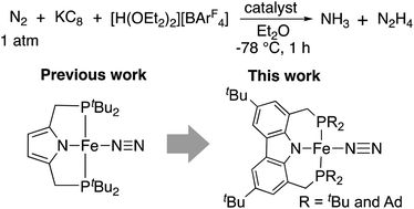 Graphical abstract: Preparation and reactivity of iron complexes bearing anionic carbazole-based PNP-type pincer ligands toward catalytic nitrogen fixation