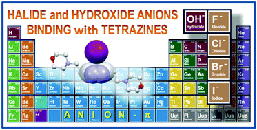 Graphical abstract: Halide and hydroxide anion binding in water