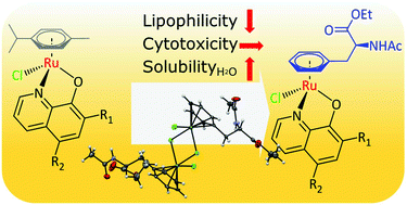 Graphical abstract: Making organoruthenium complexes of 8-hydroxyquinolines more hydrophilic: impact of a novel l-phenylalanine-derived arene ligand on the biological activity