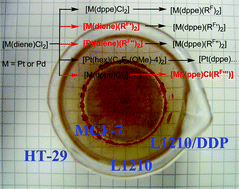 Graphical abstract: Synthesis and antiproliferative activity of a series of new platinum and palladium diphosphane complexes