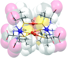 Graphical abstract: A stable thiolato–CuI–thiolato triple linkage that bridges two cobalt(iii) centres