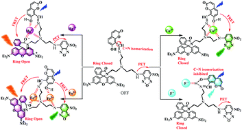 Graphical abstract: A three-dimensional (time, wavelength and intensity) functioning fluorescent probe for the selective recognition/discrimination of Cu2+, Hg2+, Fe3+ and F− ions