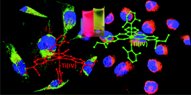 Graphical abstract: Fluorescent antitumor titanium(iv) salen complexes for cell imaging