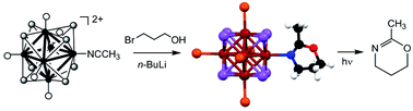 Graphical abstract: Small molecule activation of nitriles coordinated to the [Re6Se8]2+ core: formation of oxazine, oxazoline and carboxamide complexes