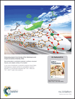 Graphical abstract: Back cover